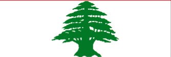 elie_naim's profile banner image