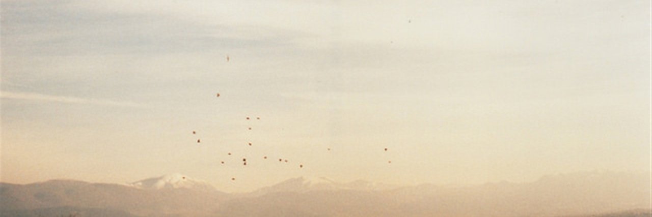 Maria banner