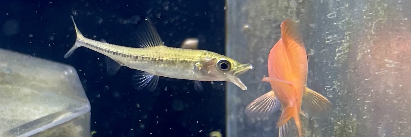 アクアライフ山田 banner