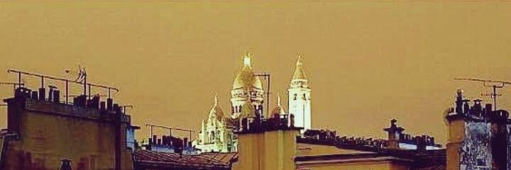 Parisian Free Bird. banner