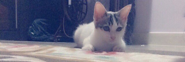 athirasuhaimi's profile banner image