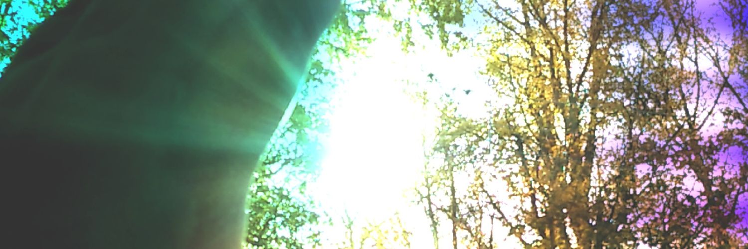BronxBebe's profile banner image