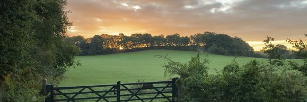 SimonPickup Profile Banner