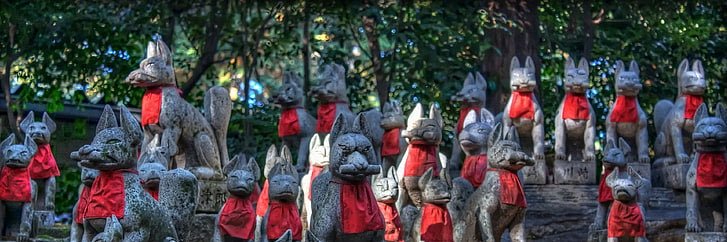 🇯🇵 Ivo van Roij 🇳🇱 banner