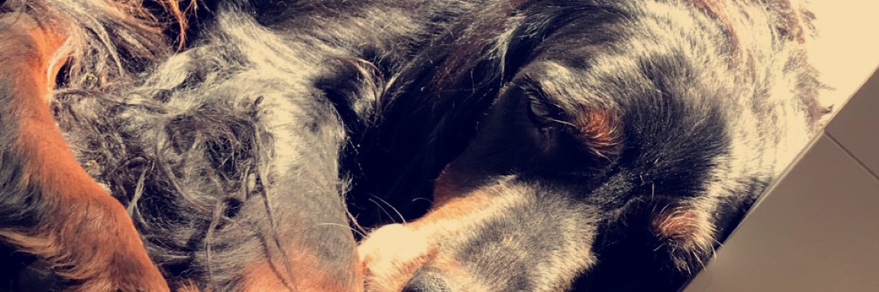 1keezoo's profile banner image