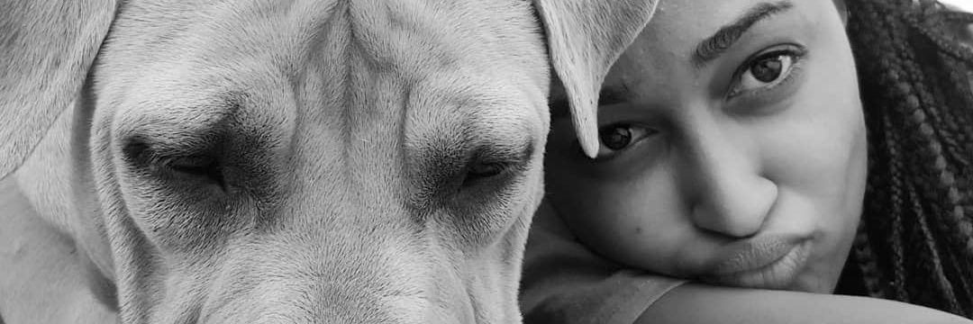 Rhoslynne's profile banner image