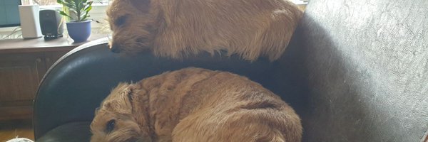 UllaHytti Profile Banner
