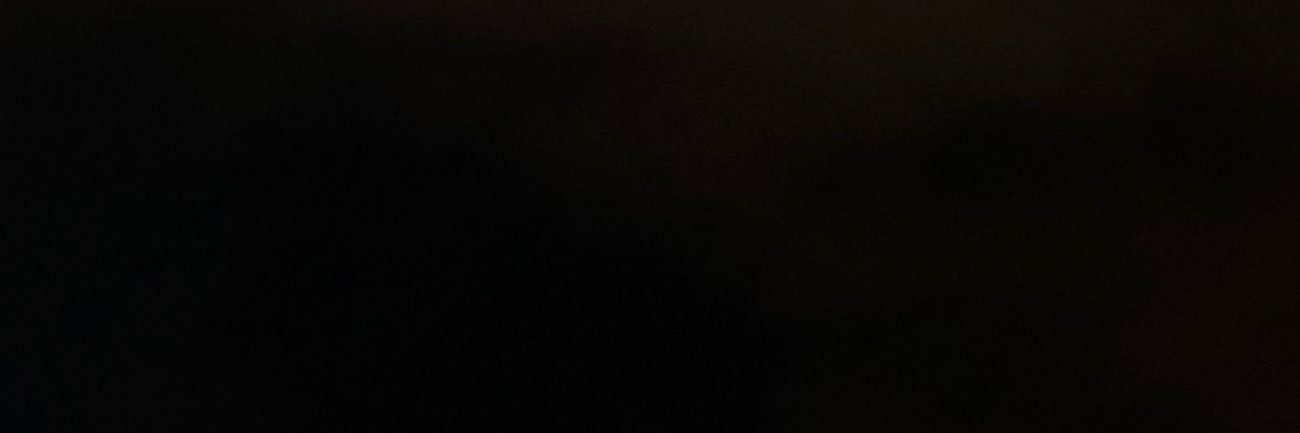 very delicious roasted goose ⛓️ banner