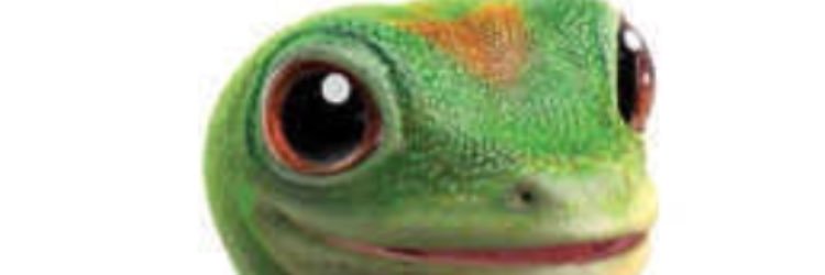 alexdalou's profile banner image