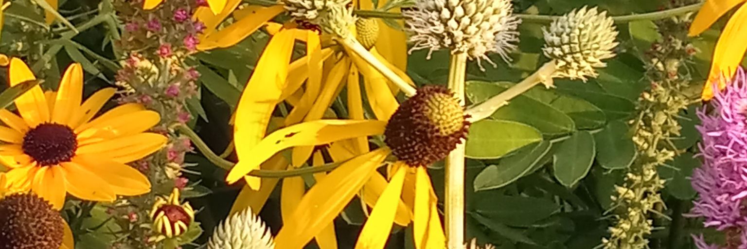 netzero is NOT ZERO banner