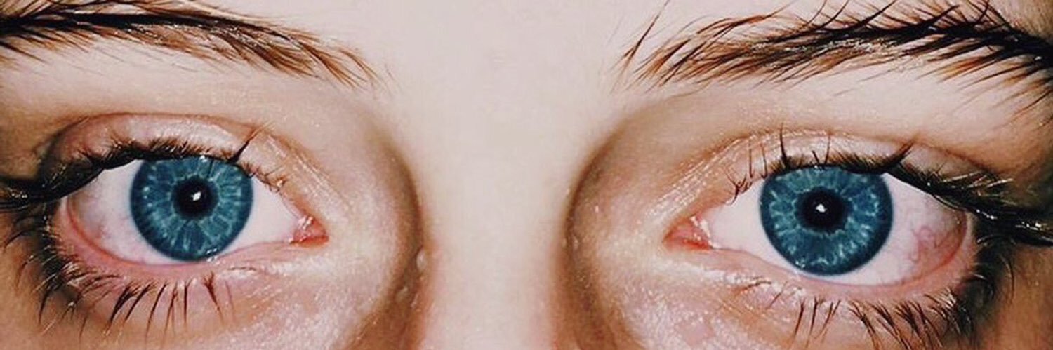 nicolehaddon_'s profile banner image