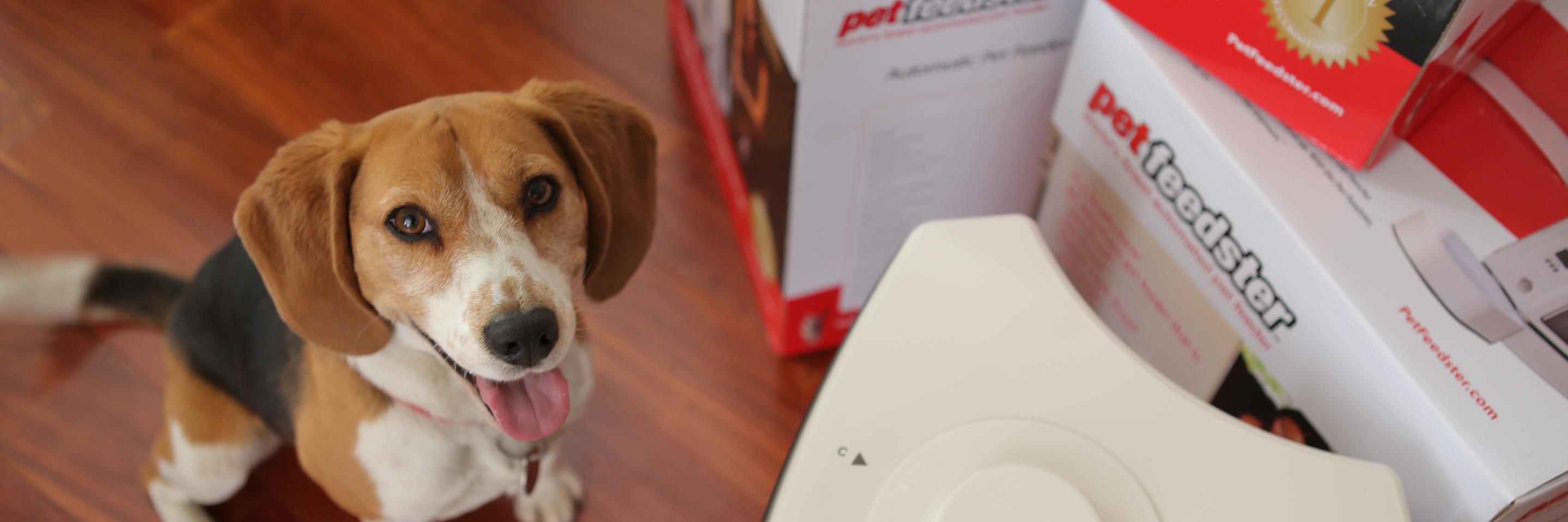PetFeedster's profile banner image