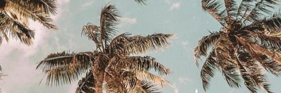 ditasyarifahnur's profile banner image