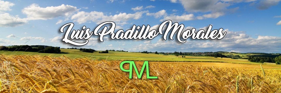 Luispradillo's profile banner image