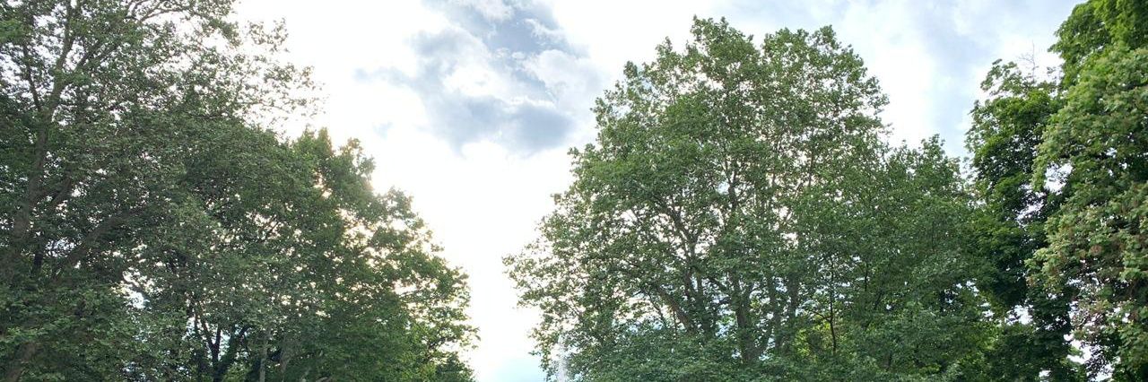 aditdiditt's profile banner image
