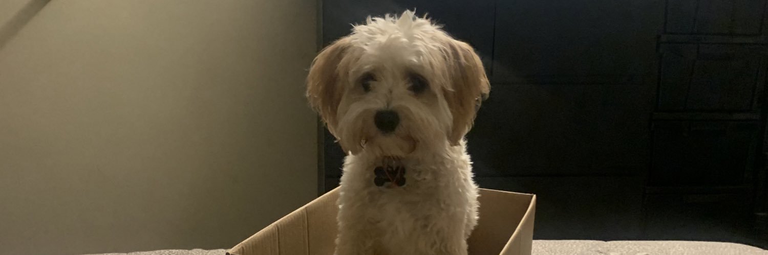 New Frontier 🐀 banner