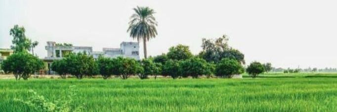सोनियो🥰 banner