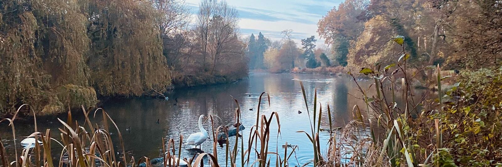 LoveSolihull's profile banner image