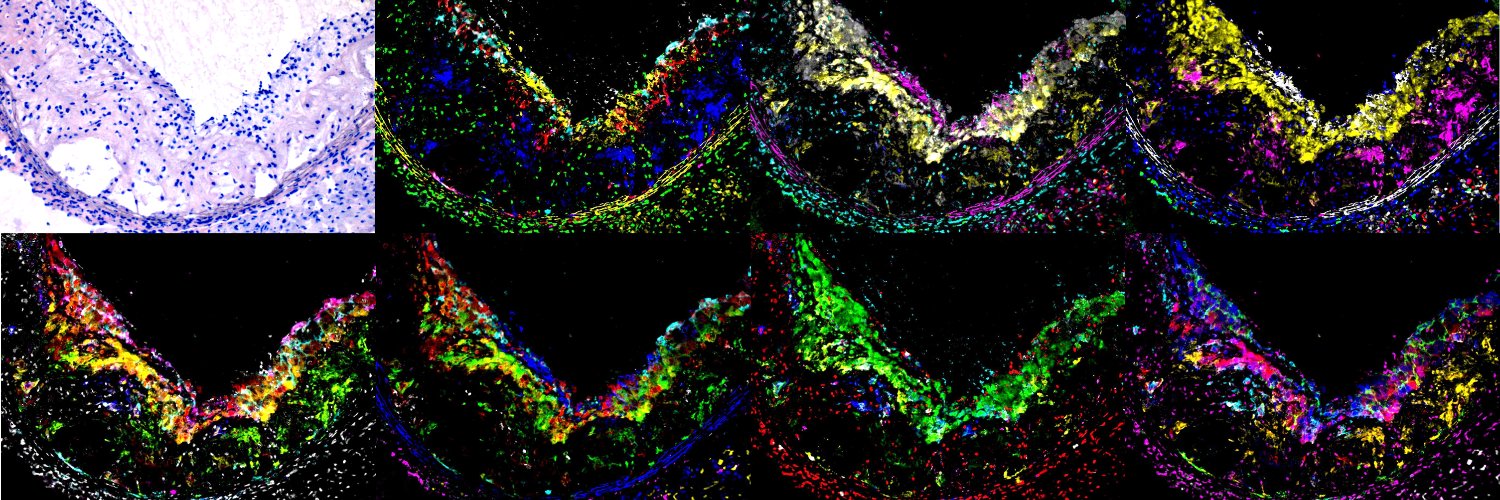 Pieter Goossens lab banner