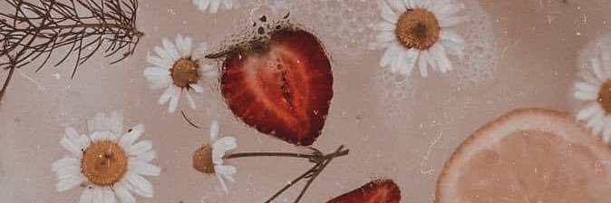 baileyderosa's profile banner image