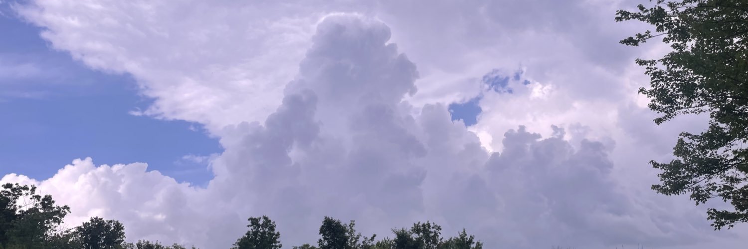 Dylan Johnson banner