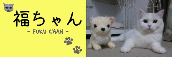 fukuchanwhite Profile Banner