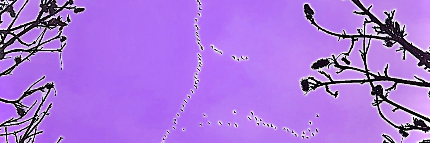 SMEBmixedit.🎚️ banner