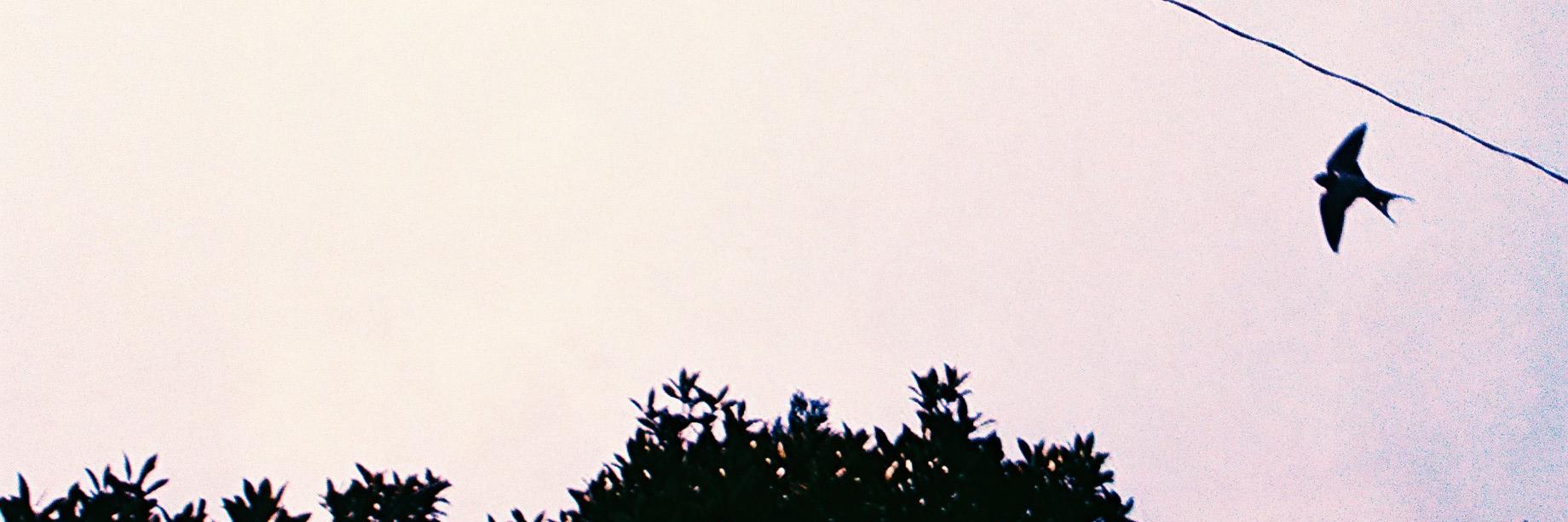 khktto's profile banner image