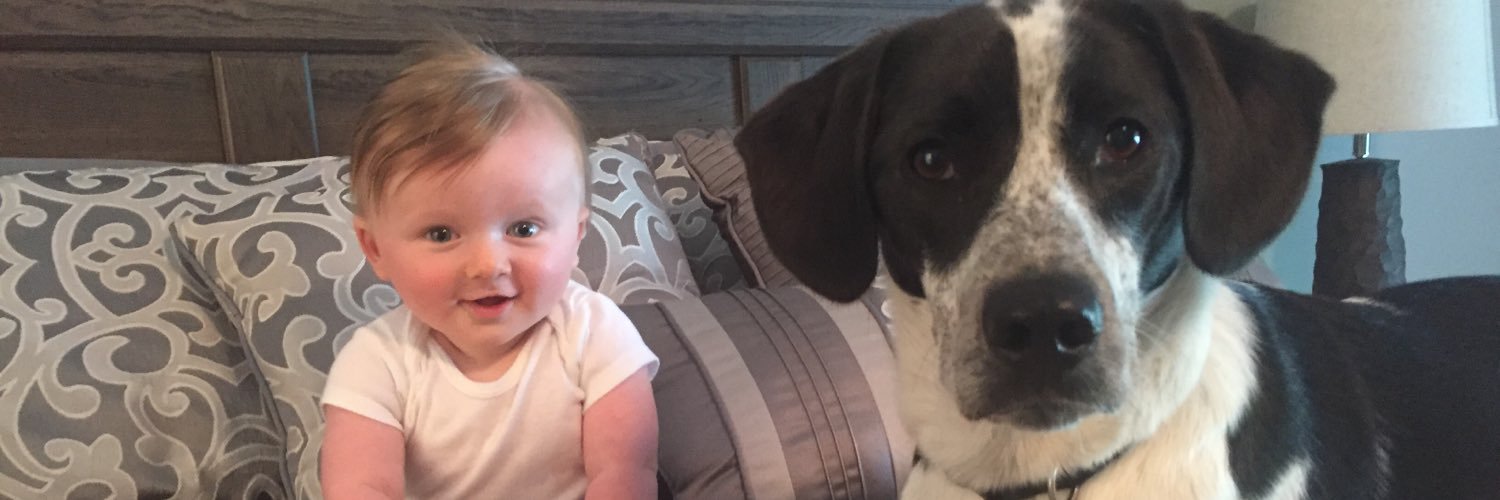 Mike Mittleman banner