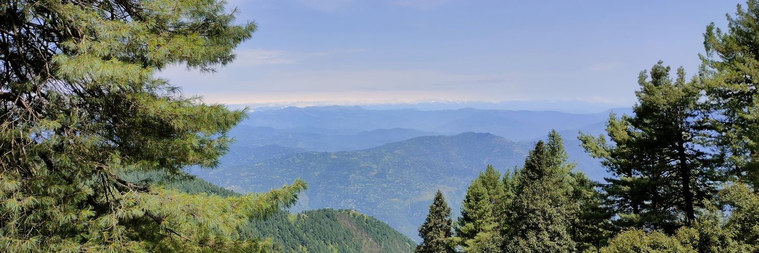 zjzeshan's profile banner image