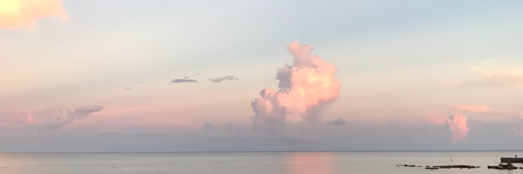 競太郎 banner