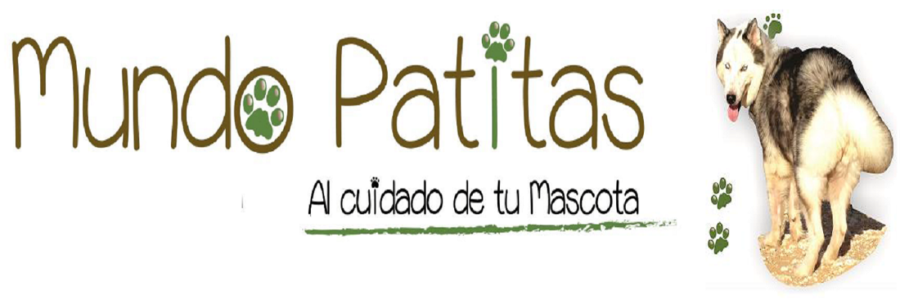 MundoPatitas1's profile banner image