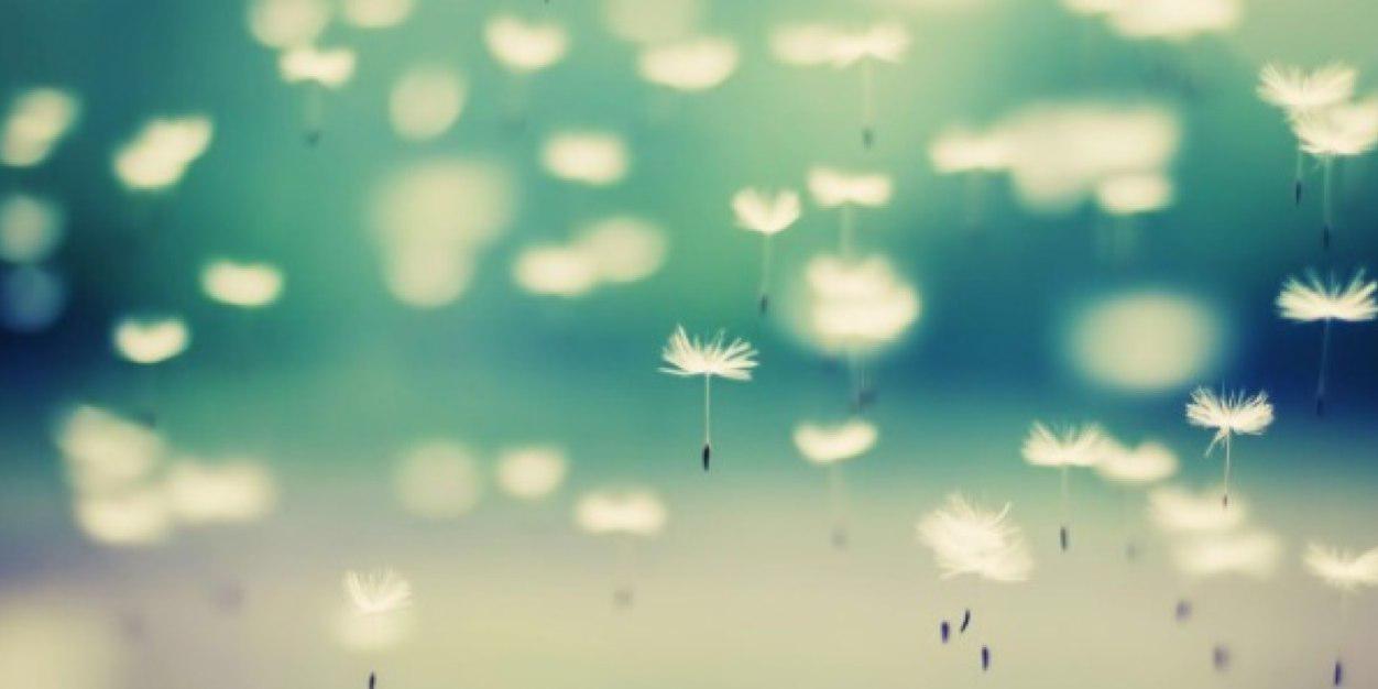 MsJFour's profile banner image