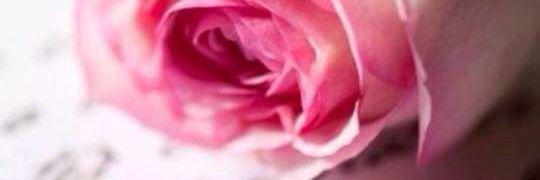 fluer_ciel's profile banner image