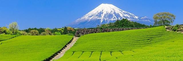 ocha_42195's profile banner image