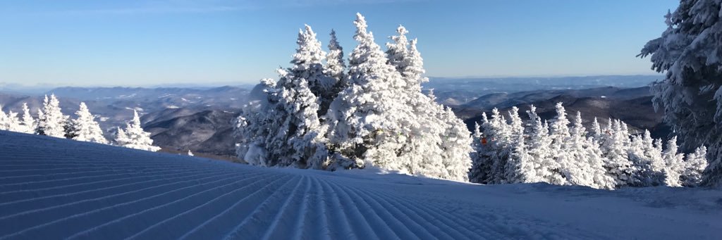 Stephanie Kohn banner