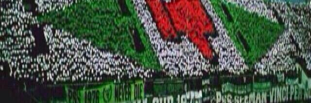 Beer banner