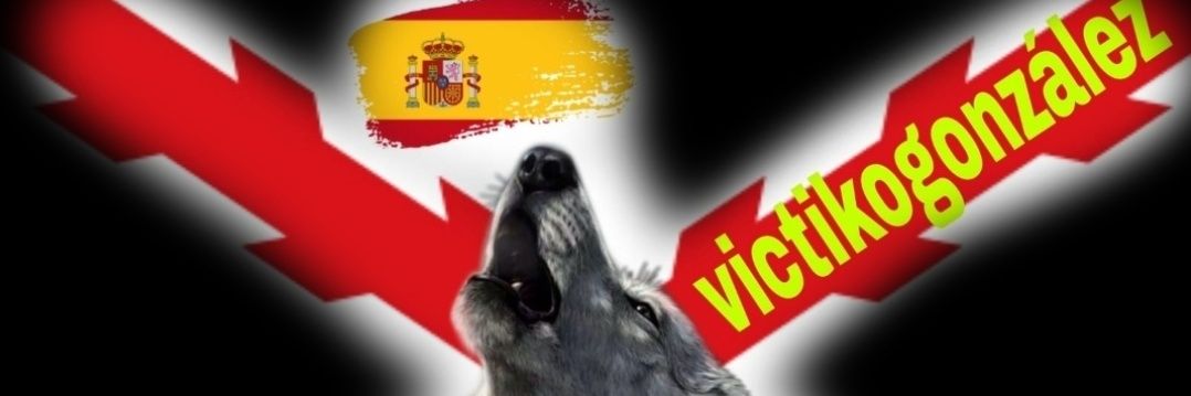 victikogonzalez's profile banner image