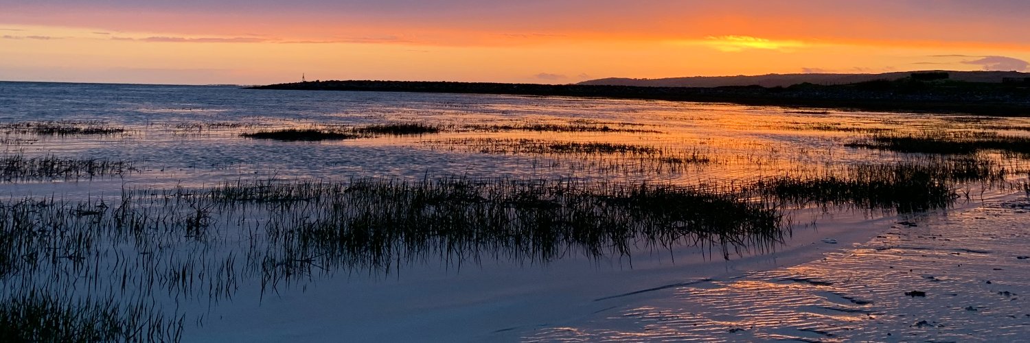 Matthew Howells banner