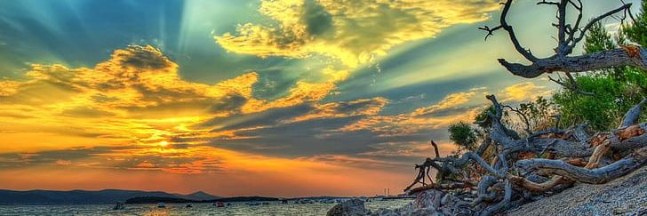 Gratitude DNA banner