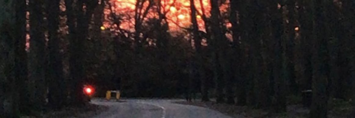 Schoey Schofield banner