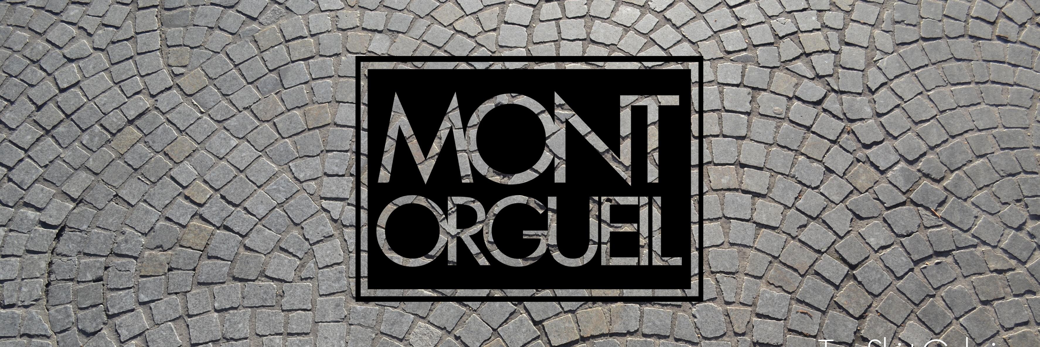 MontOrgueilTS's profile banner image