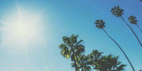 nessa_timoteo's profile banner image