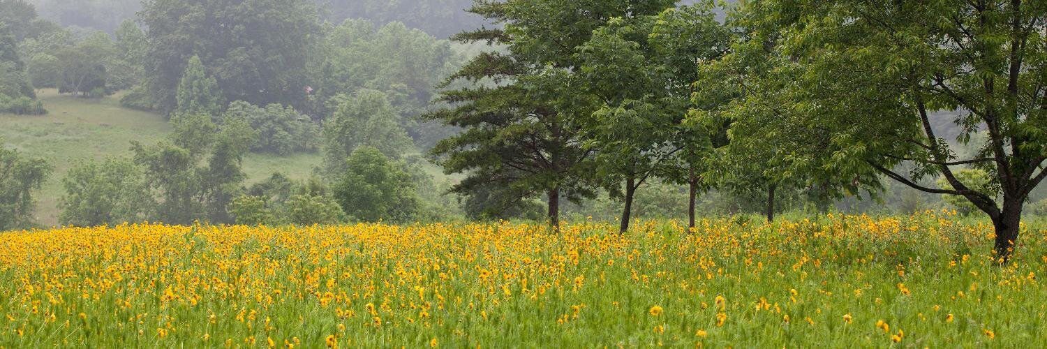 waterststudio's profile banner image