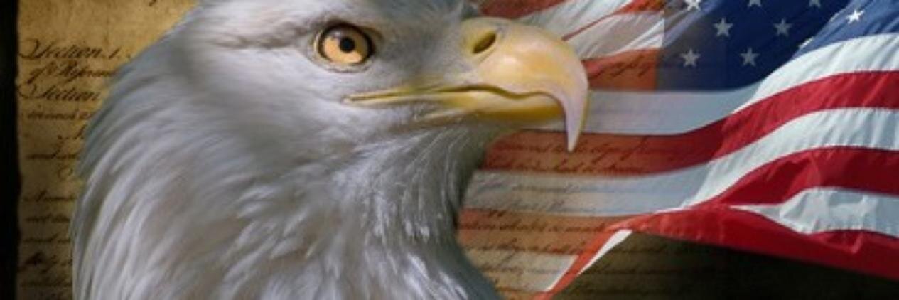 professorrouzer's profile banner image