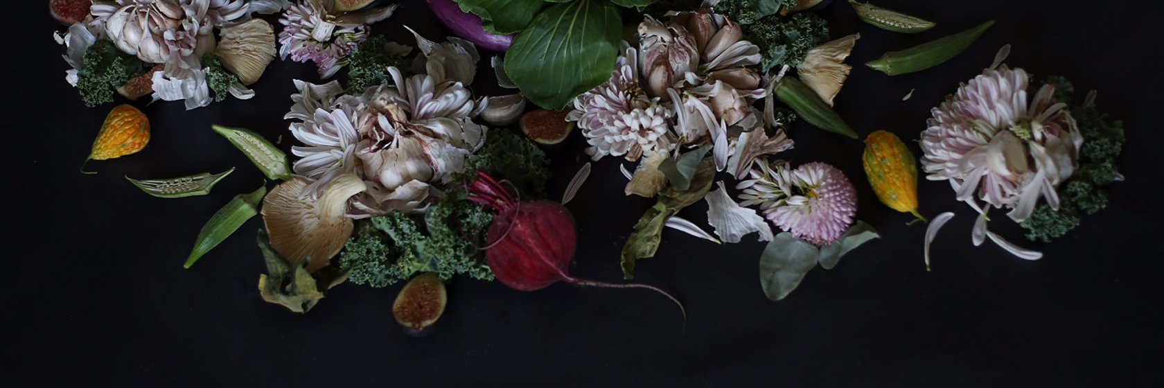 LoraDemode's profile banner image