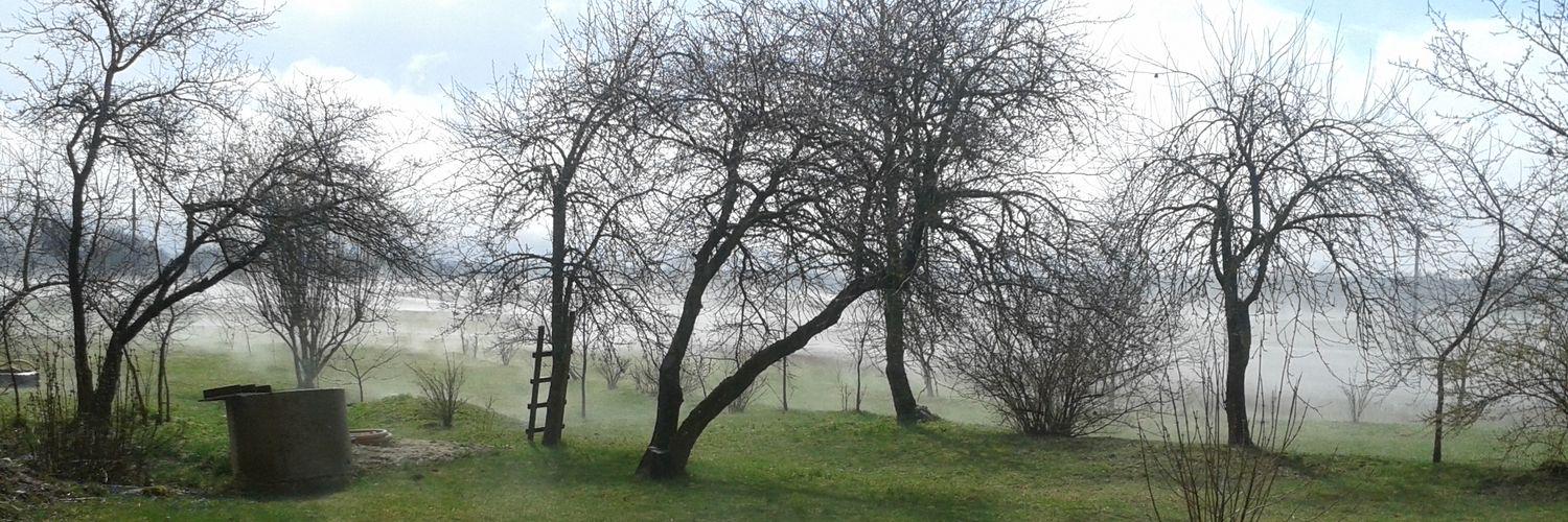 kikiine91's profile banner image