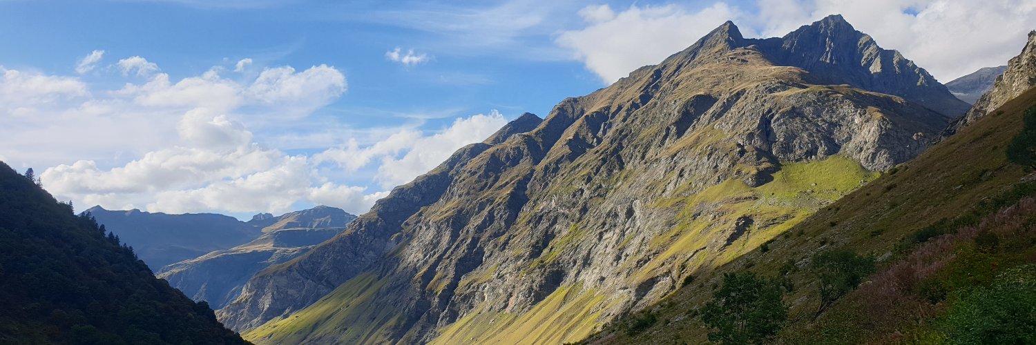 Angela Bolis banner