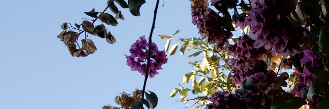 Sthef08N's profile banner image