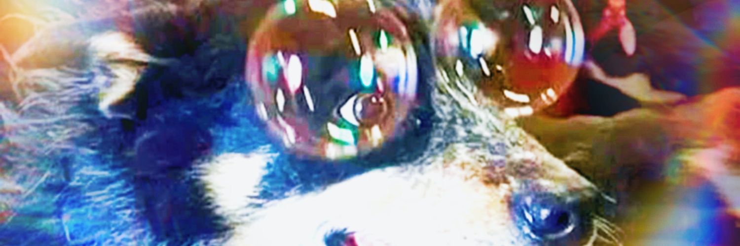 stuarthampton's profile banner image